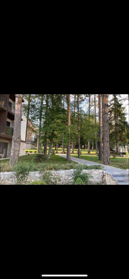 Titova Vila Zlatibor Mountain View Apartment Exteriér fotografie